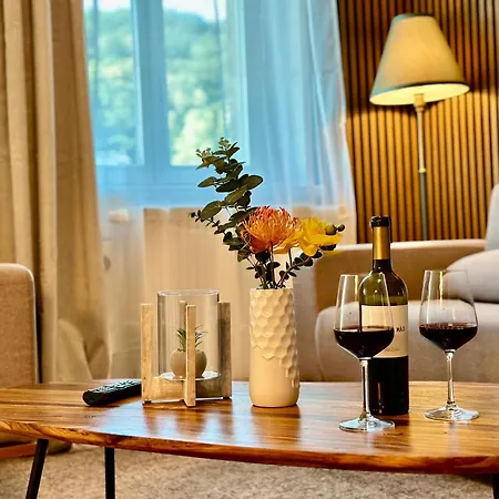 Apartament Belvedere - Riverside - Zentrum - Netflix - Liliensteinblick *